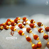 Gold Plated Himalayan Rudraksha Trishool Necklace