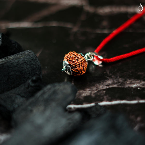 11 Mukhi Nepali Rudraksha - Gyaarah Mukhi