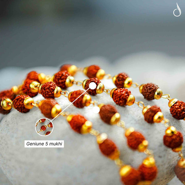 Gold Plated Himalayan Rudraksha Trishool Necklace