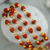 Gold Plated Himalayan Rudraksha Trishool Necklace