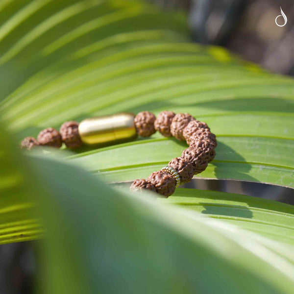 5 Mukhi Natural Rudraksha Bracelet