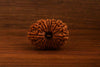 Natural 17 Mukhi Rudraksha (Nepali)