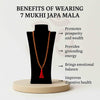 7 Mukhi Japa Rudraksha Mala 108+1 Beads - Saat Mukhi and Lab Certified