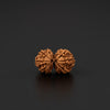 Gauri Shankar Nepali Rudraksha | Free Ganga Siddh at Har Ki Pauri, Haridwar
